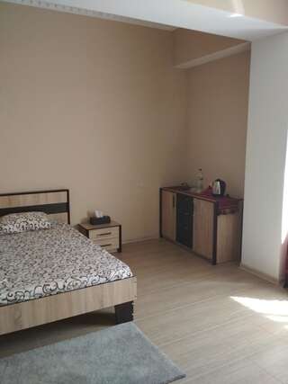 Отель Отель Элита Одесса Большой двухместный номер с 1 кроватью-3